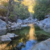 Review photo of Pfeiffer Big Sur State Park Campground by Ben C., November 13, 2025