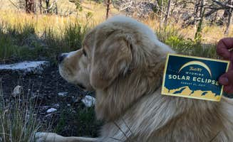 B B.'s photo of camping with pets at Guernsey State Park Campground near Hartville, WY