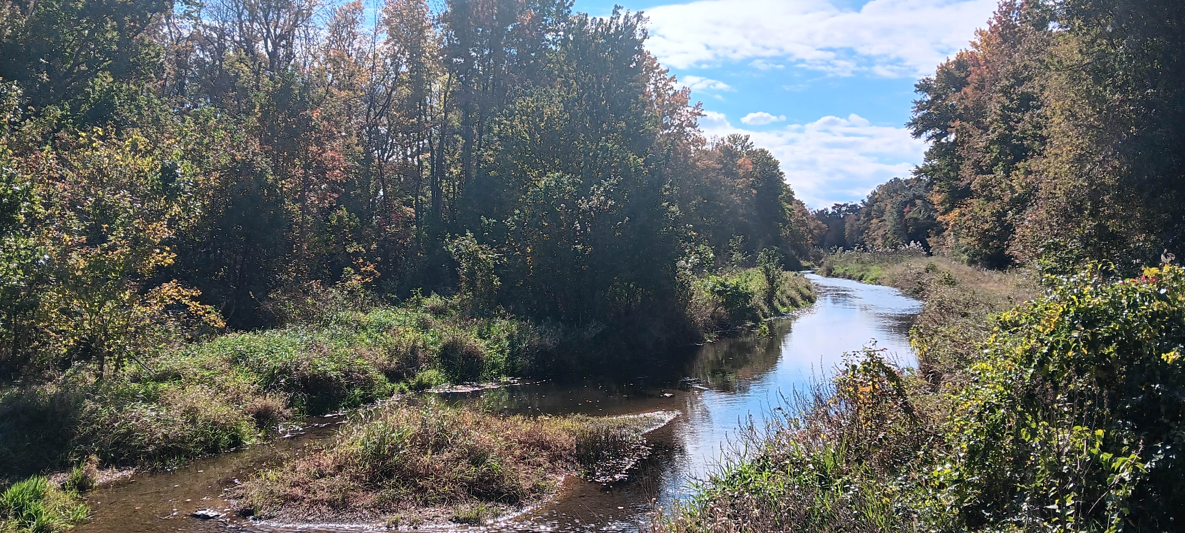 Camping near Vienna Maryland Wooded Campsite: Abundant Waters Camping, Seaford, Delaware