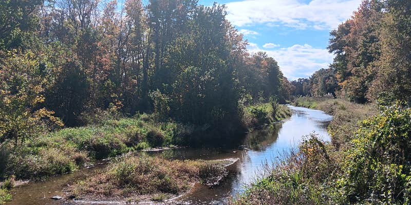 Camper submitted image from Abundant Waters Camping