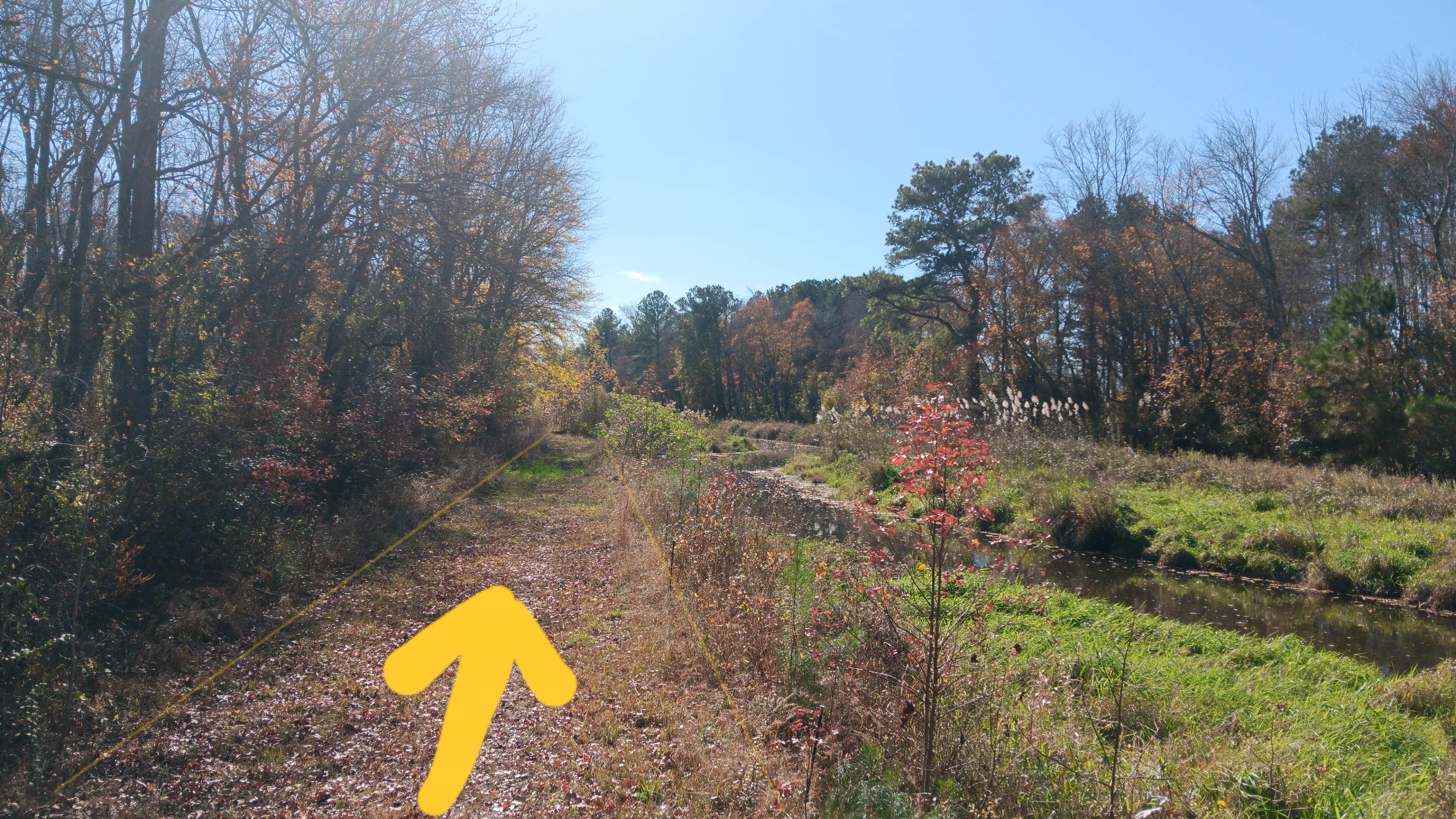 Camper submitted image from Abundant Waters Camping - 2