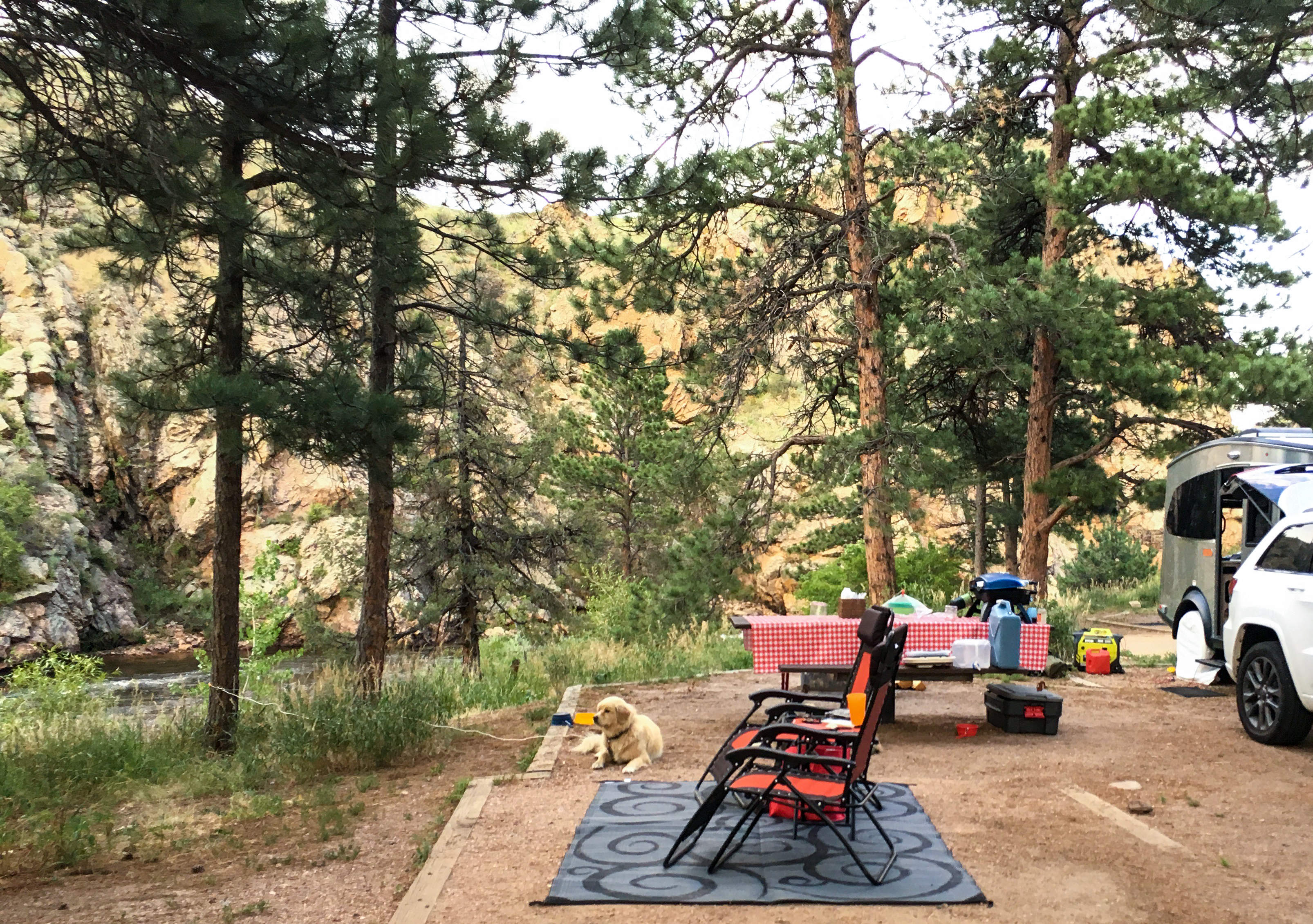 B B.'s photo of camping with pets at Upper and Lower Ansel Watrous Campgrounds near Livermore, CO