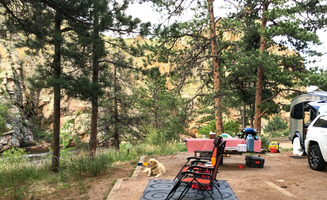 B B.'s photo of camping with pets at Upper and Lower Ansel Watrous Campgrounds near Livermore, CO