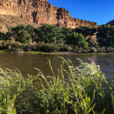Review photo of James M. Robb Colorado River — Island Acres Section Camping by B B., August 25, 2019