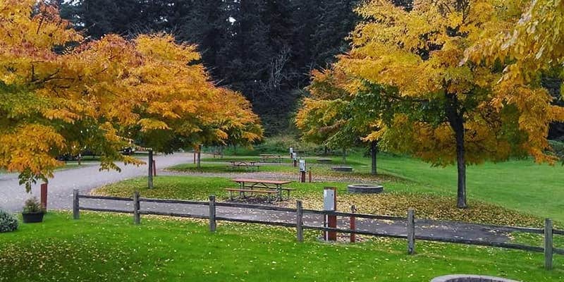 Camper submitted image from Enumclaw Expo Center RV Park