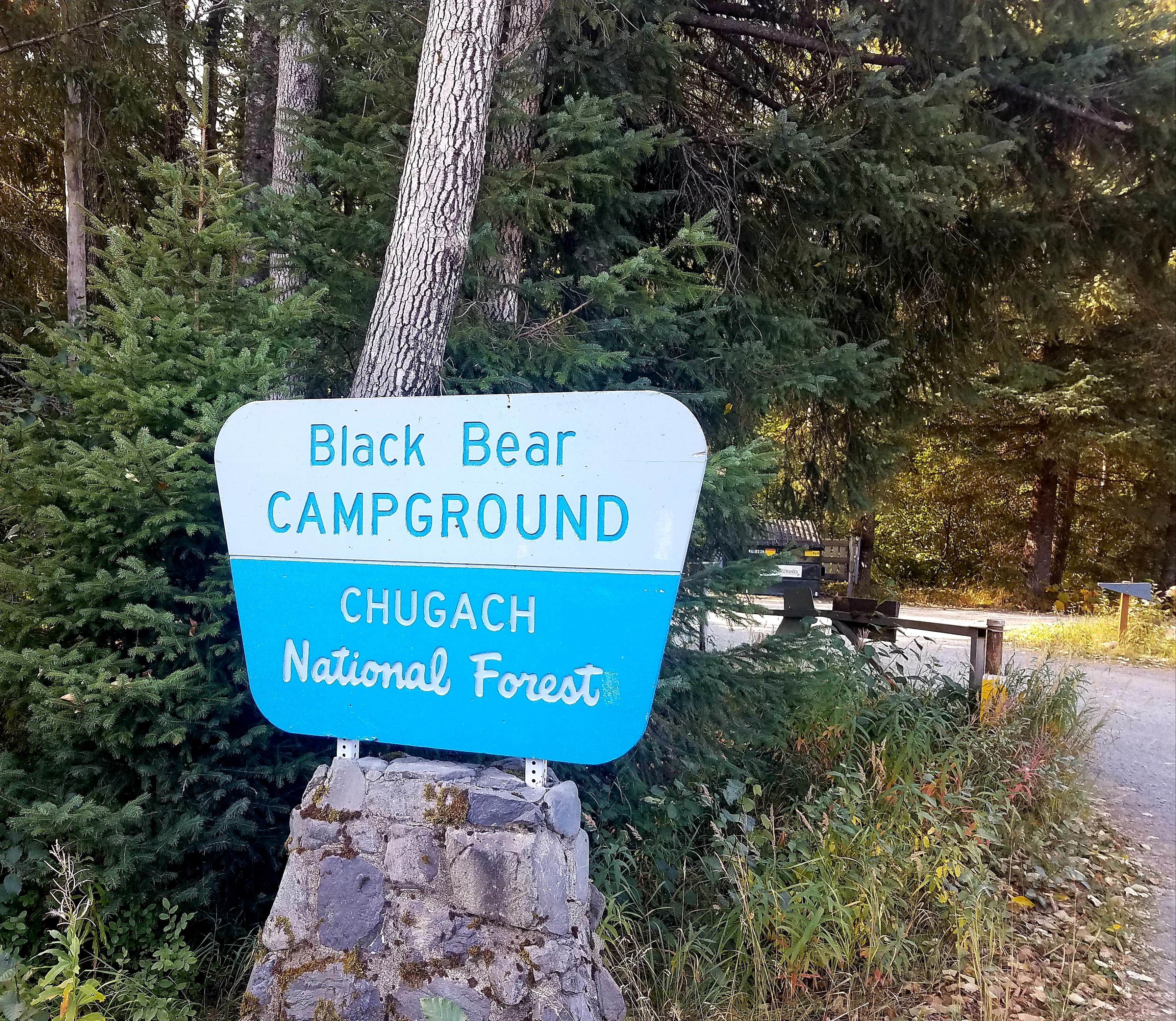 Camper submitted image from Black Bear Campground — Chugach National Forest - 3