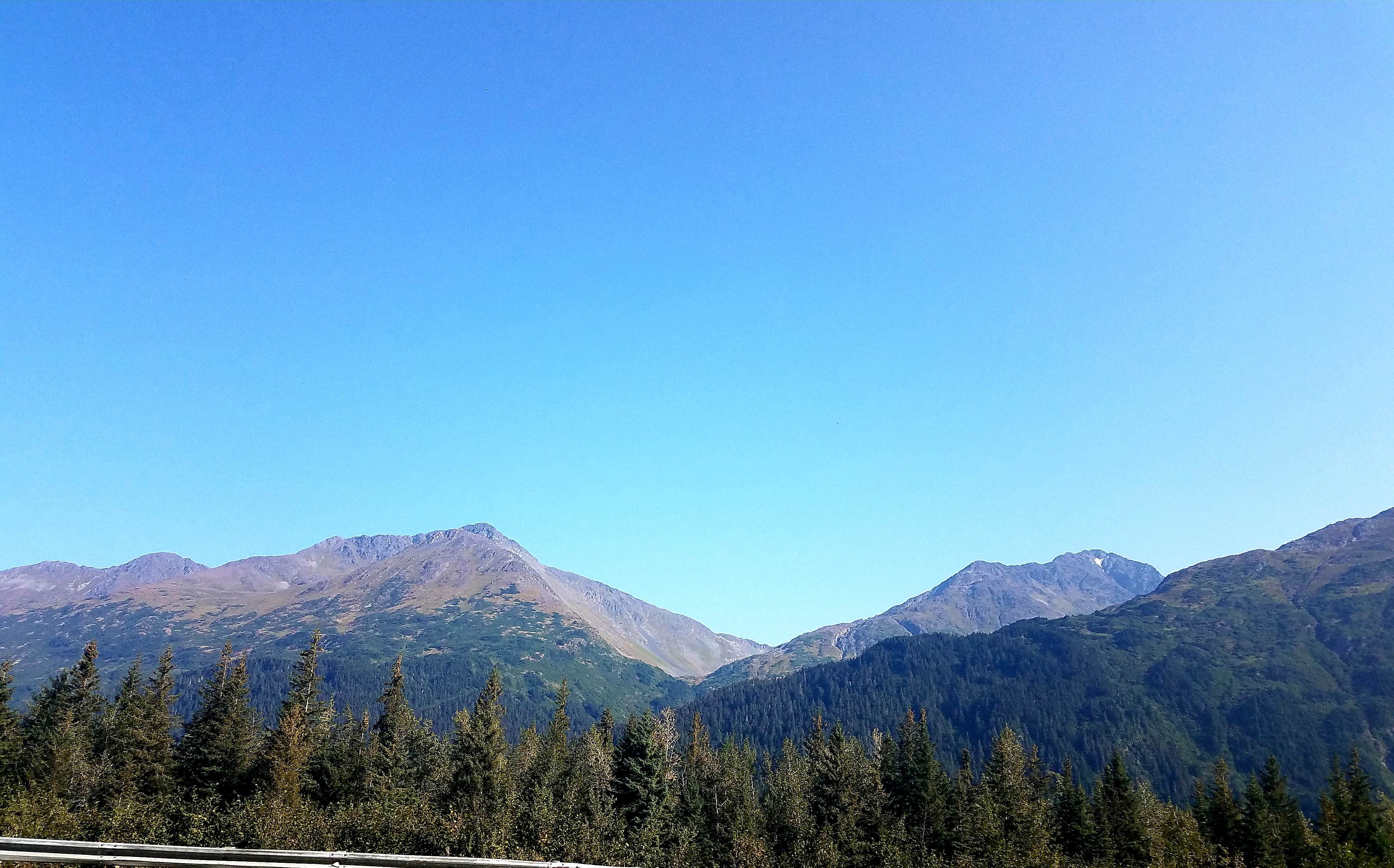 Camper submitted image from Black Bear Campground — Chugach National Forest - 2