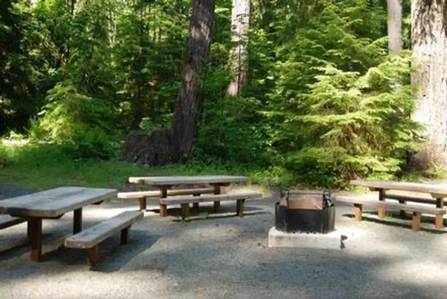 Camping near Gifford Pinchot National Forest Cat Creek Campground: North Fork Elk Group Camp, Randle, Washington