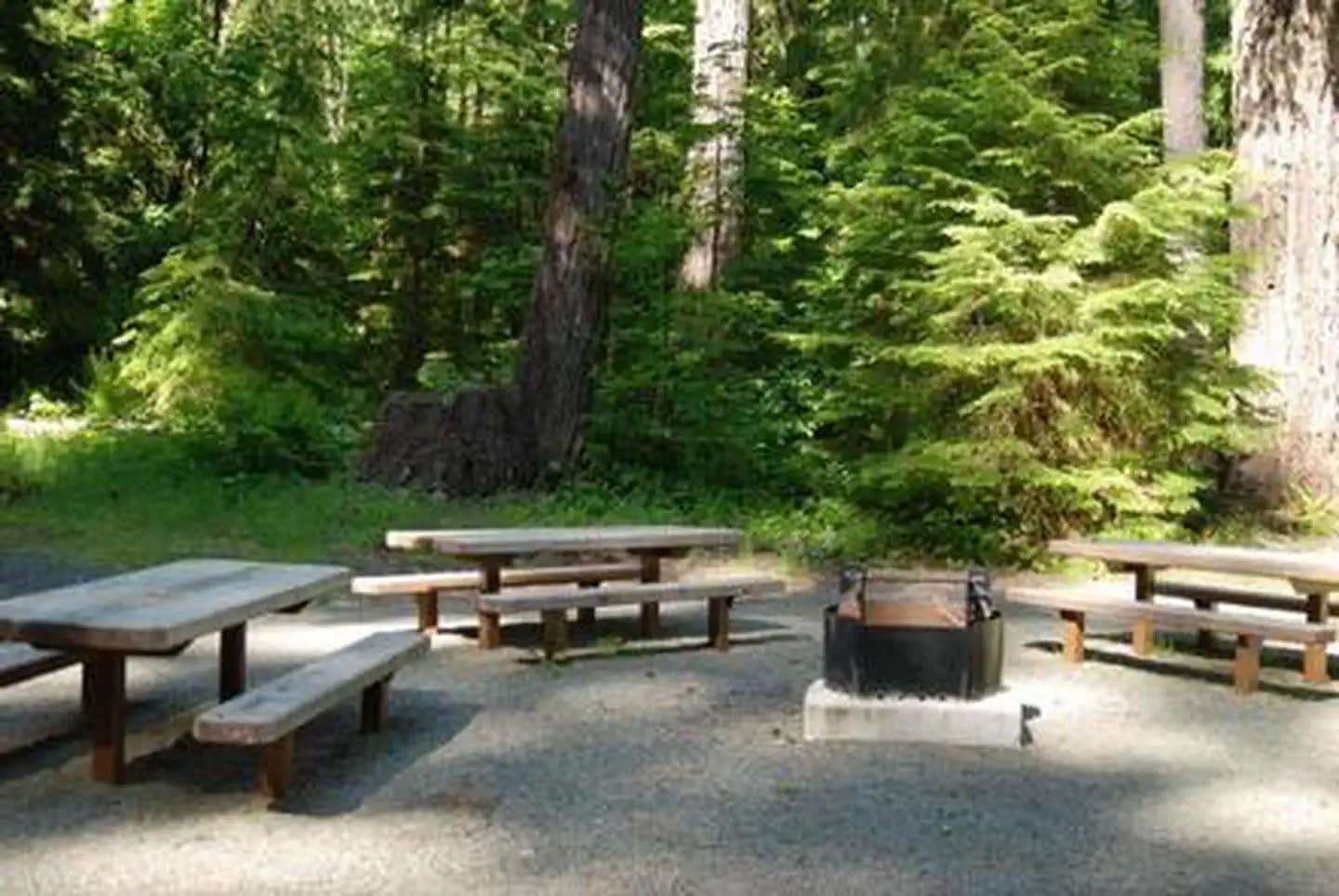 Camper submitted image from North Fork Elk Group Camp - 1