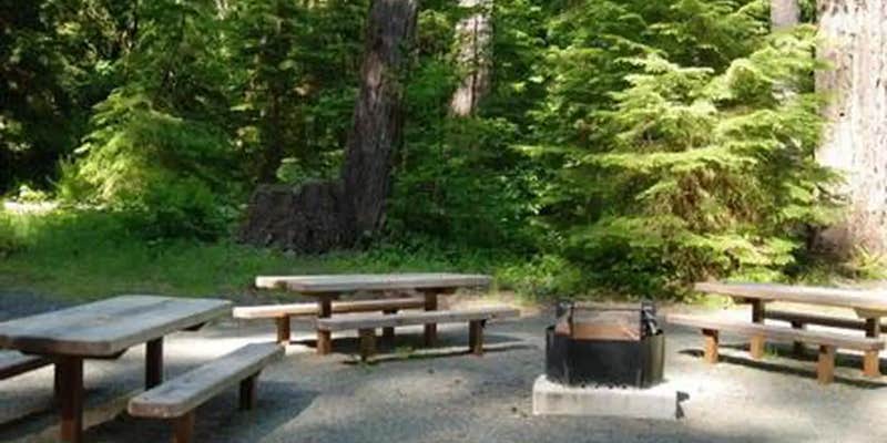 Camper submitted image from North Fork Elk Group Camp