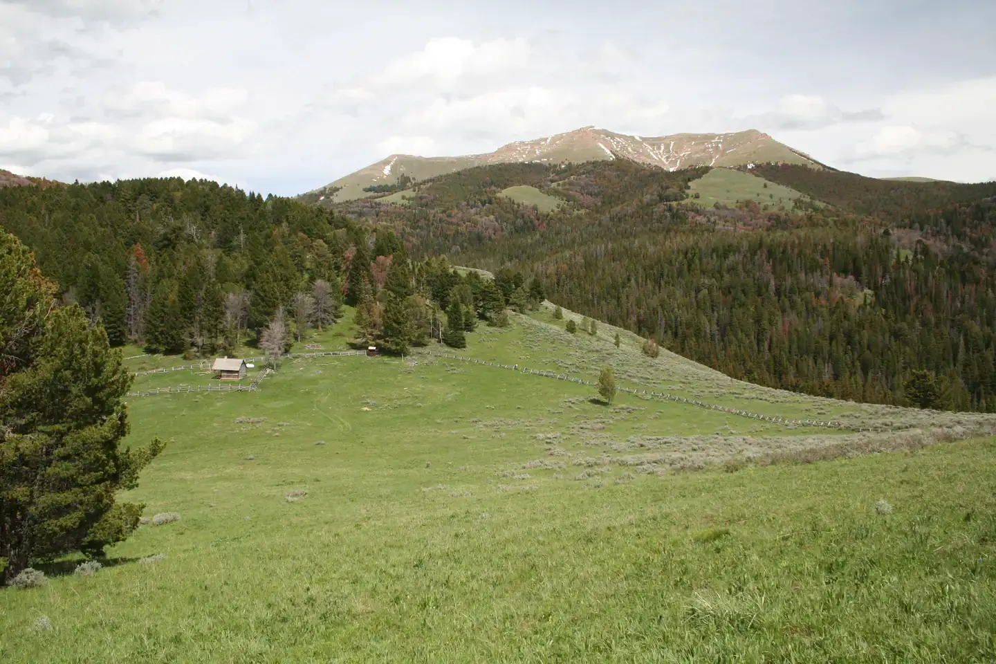 Camping near Beaverhead National Forest Price Creek Campground: Antone Cabin, Lima, Montana