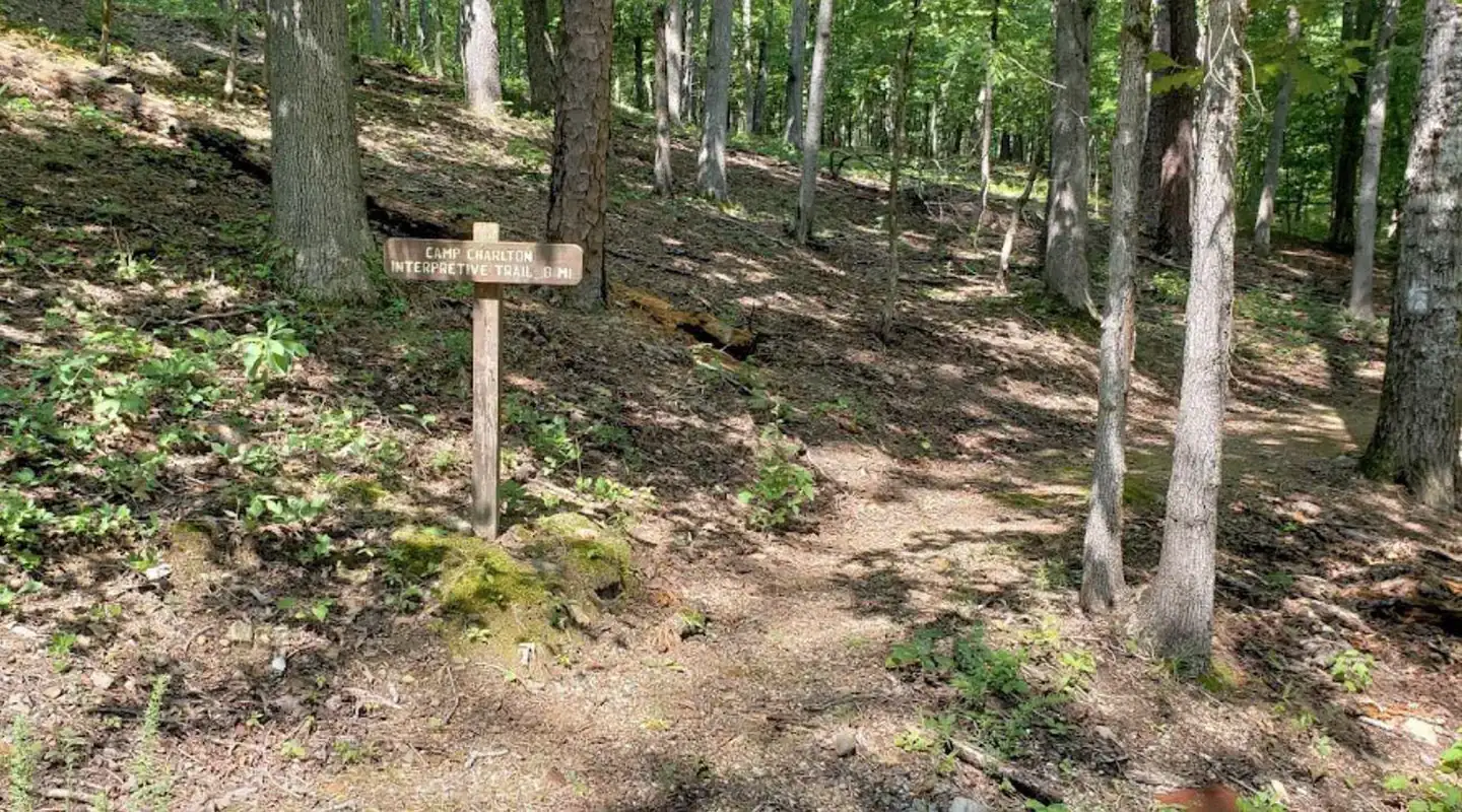 Camping near Brady Mountain - Lake Ouachita: Charlton Campground, Royal, Arkansas