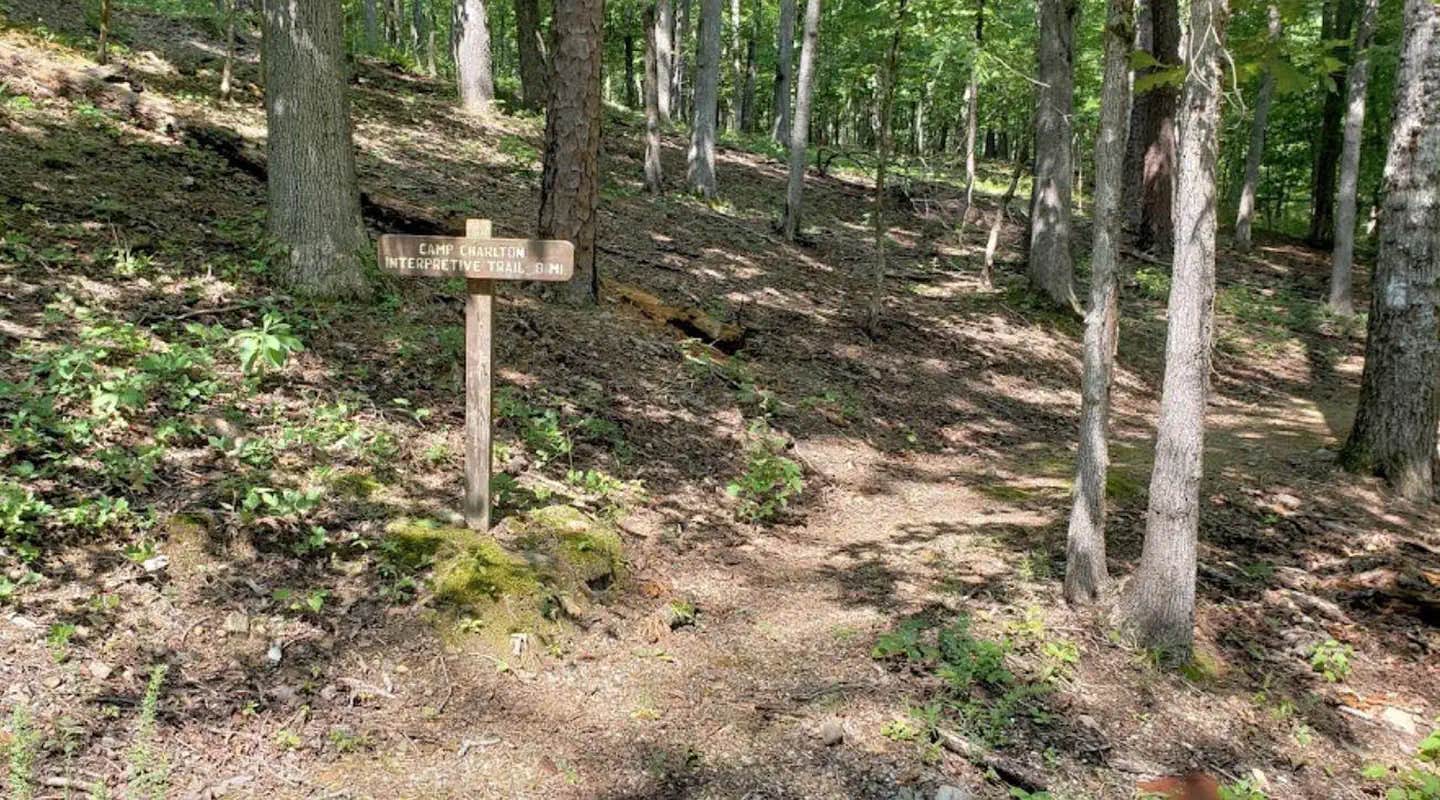 Camper submitted image from Charlton Campground - 1