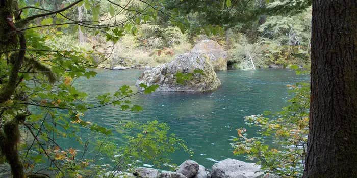 Camper submitted image from Boulder Flat Campground