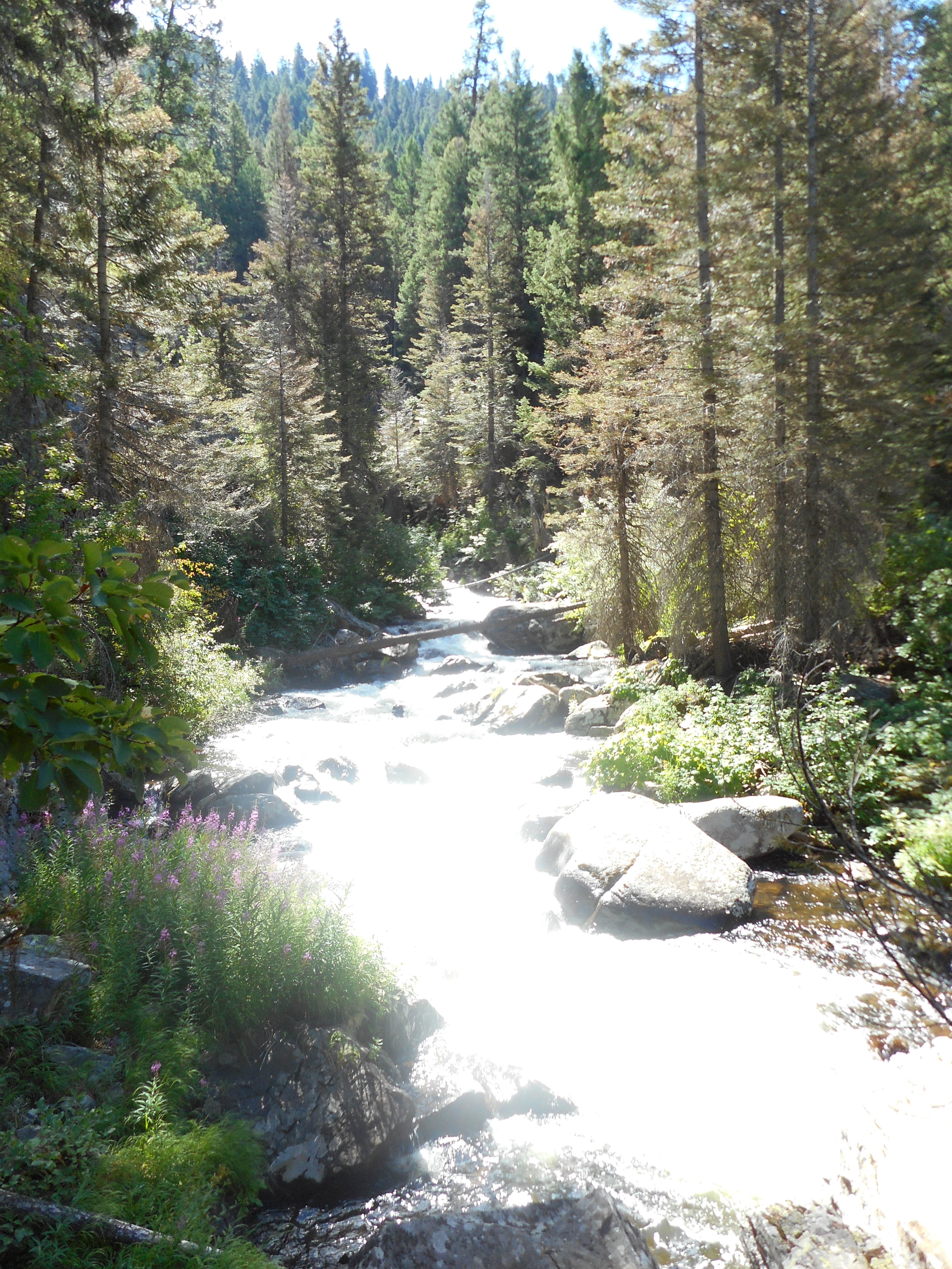 Idaho's Last Chance: A Campground Paradise for Adventure Seekers