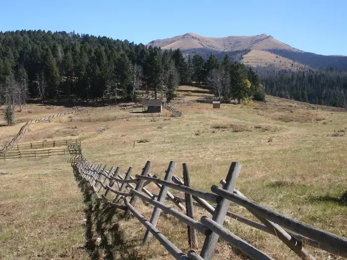 Camper-submitted photo at Antone Cabin near Dubois, ID