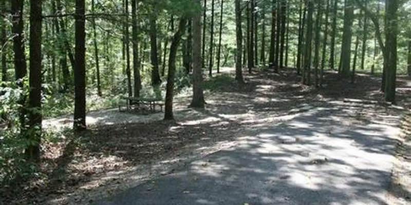 Camper submitted image from Iron Ridge - Lake Vesuvius