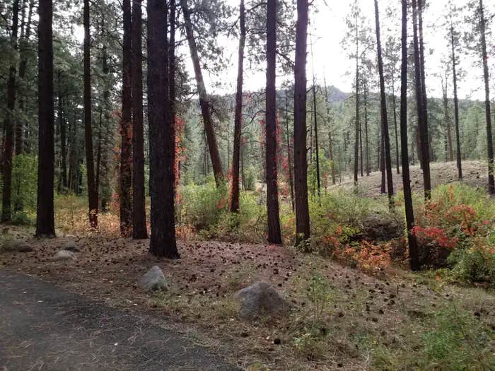 Camper submitted image from Paliza Campground - 1