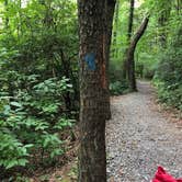 Review photo of Fort Mountain State Park Campground by Lori H., August 26, 2019