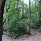 Review photo of Fort Mountain State Park Campground by Lori H., August 26, 2019