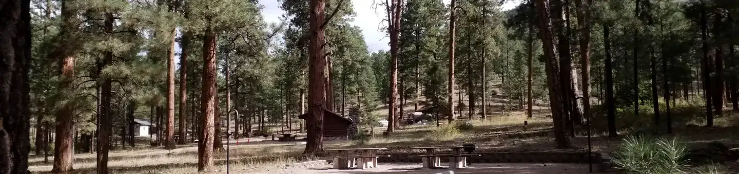 Camper-submitted photo at Paliza Campground near Los Alamos, NM