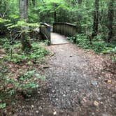 Review photo of Fort Mountain State Park Campground by Lori H., August 26, 2019