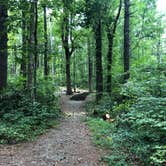 Review photo of Fort Mountain State Park Campground by Lori H., August 26, 2019