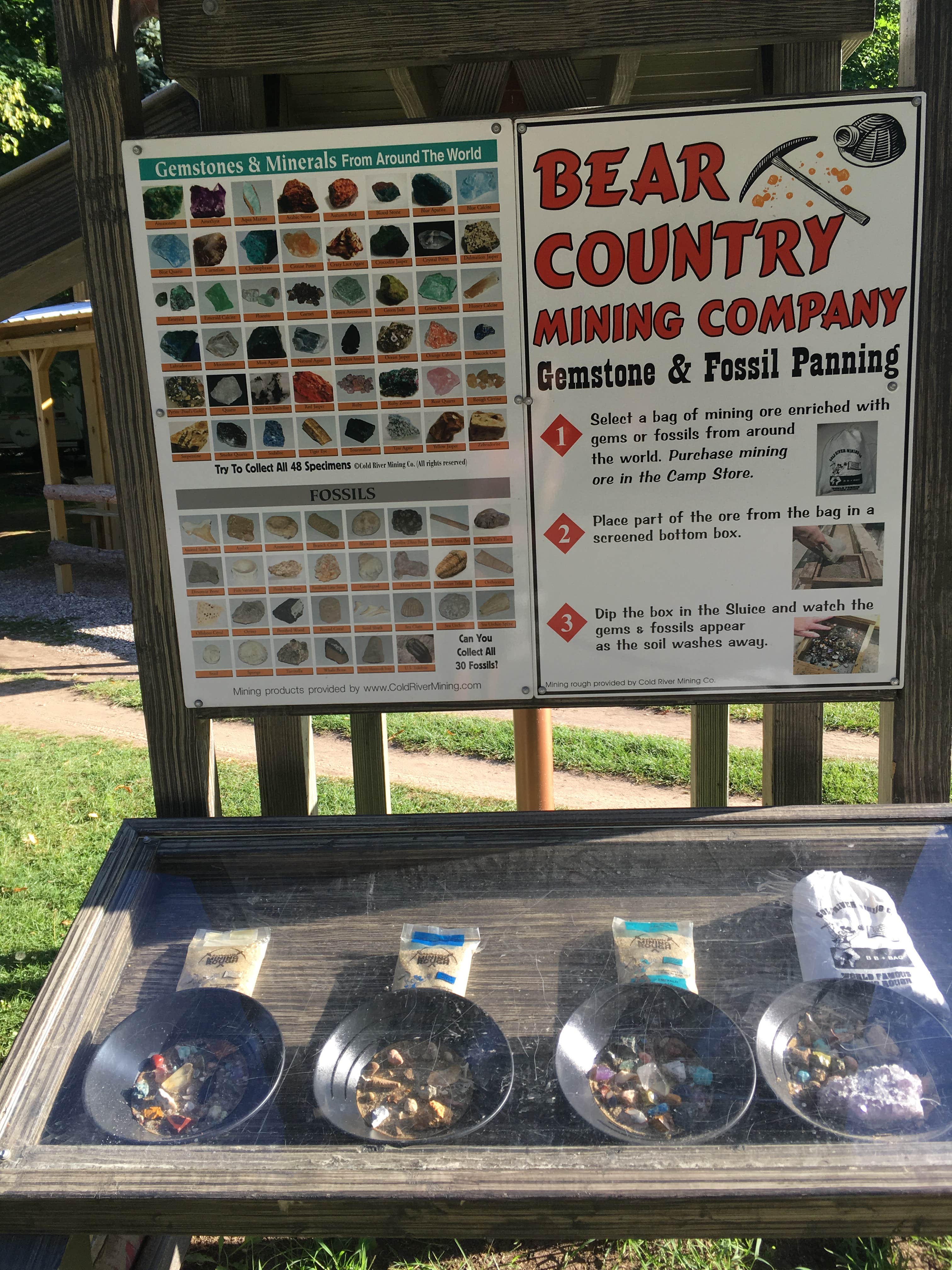 Camper-submitted photo at Traverse City KOA near South Boardman, MI