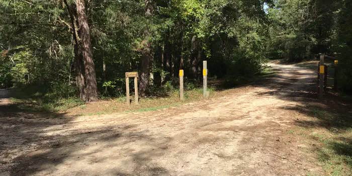 Camper submitted image from Woods Ferry Campground (Sc) — Francis Marion And Sumter National Forests