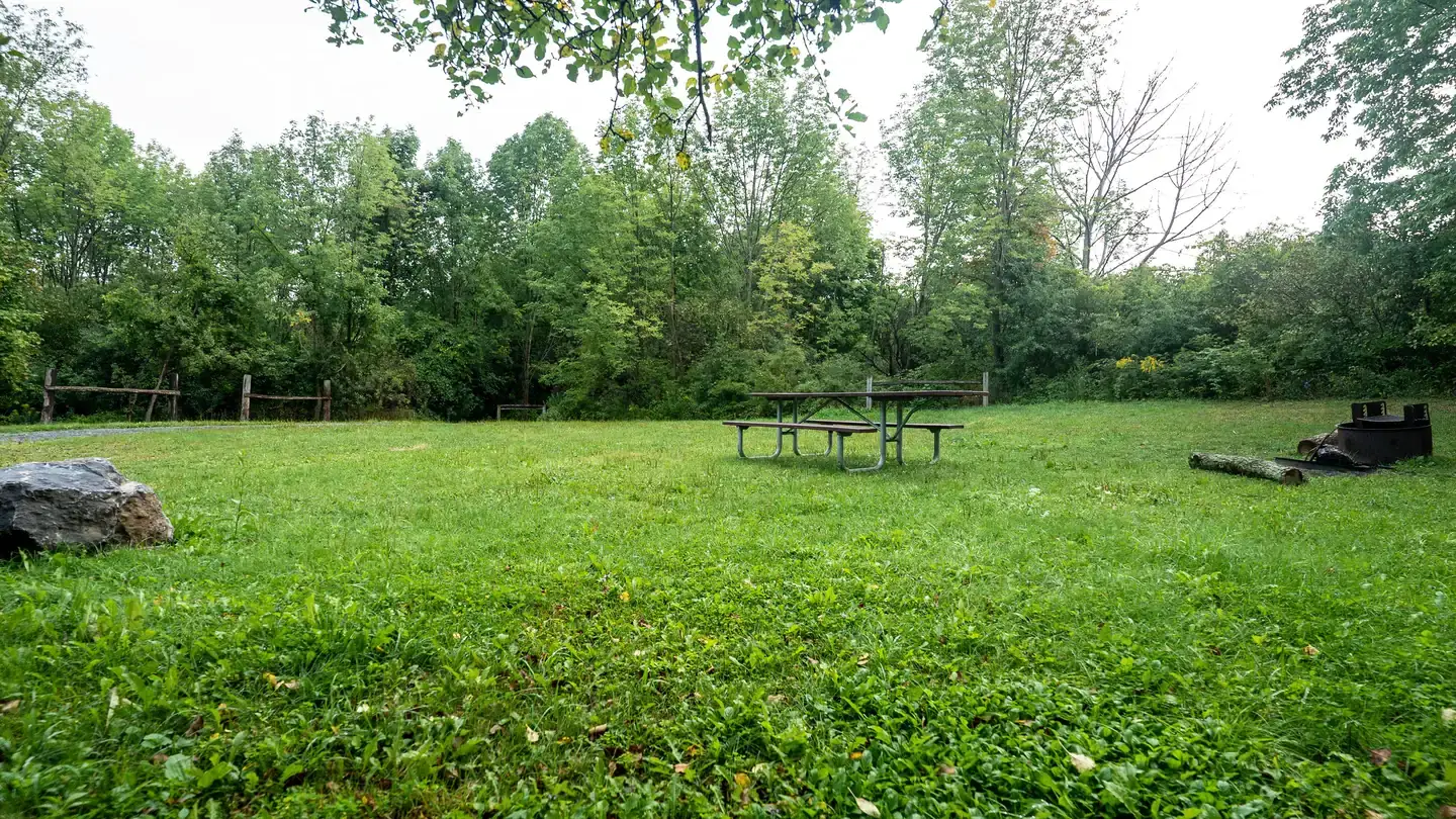 Camper-submitted photo at Backbone Horse Campground near Montour Falls, NY