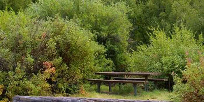 Camper submitted image from Montpelier Canyon Campground