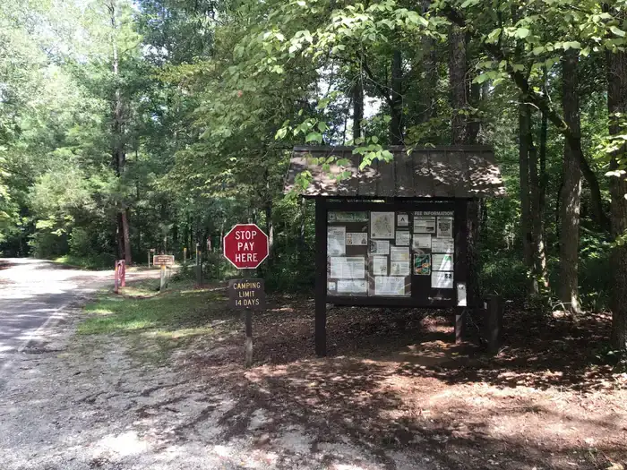 Camper-submitted photo at Woods Ferry Campground (Sc) — Francis Marion And Sumter National Forests near Chester, SC