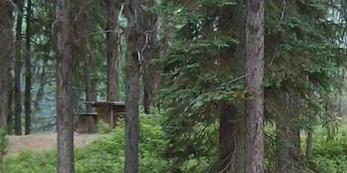 Camper submitted image from West Sullivan Campground