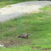 Review photo of Illini Campground — Eldon Hazlet State Recreation Area by J K., August 26, 2019