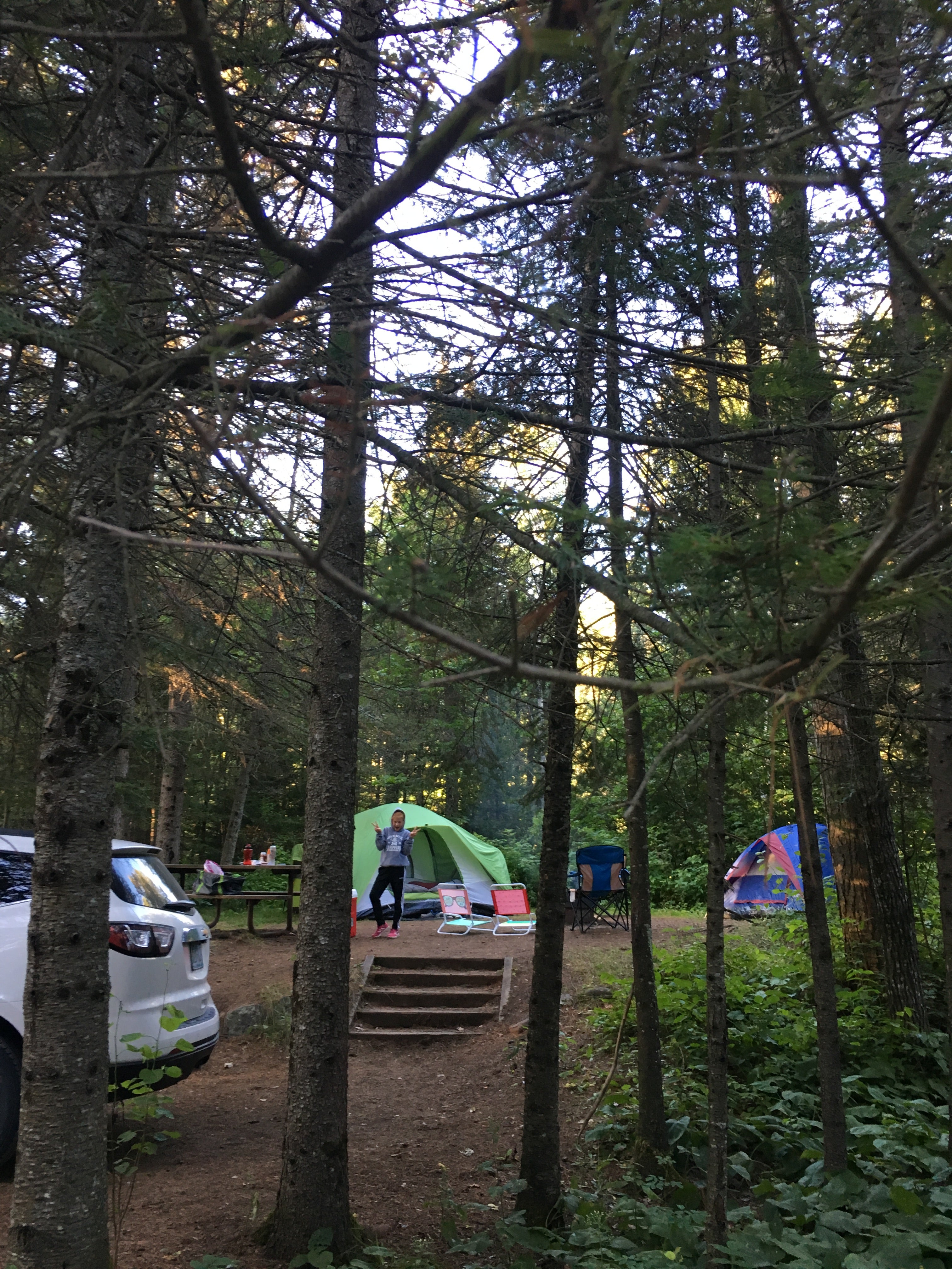 Camper submitted image from Eckbeck Finland State Forest - 4