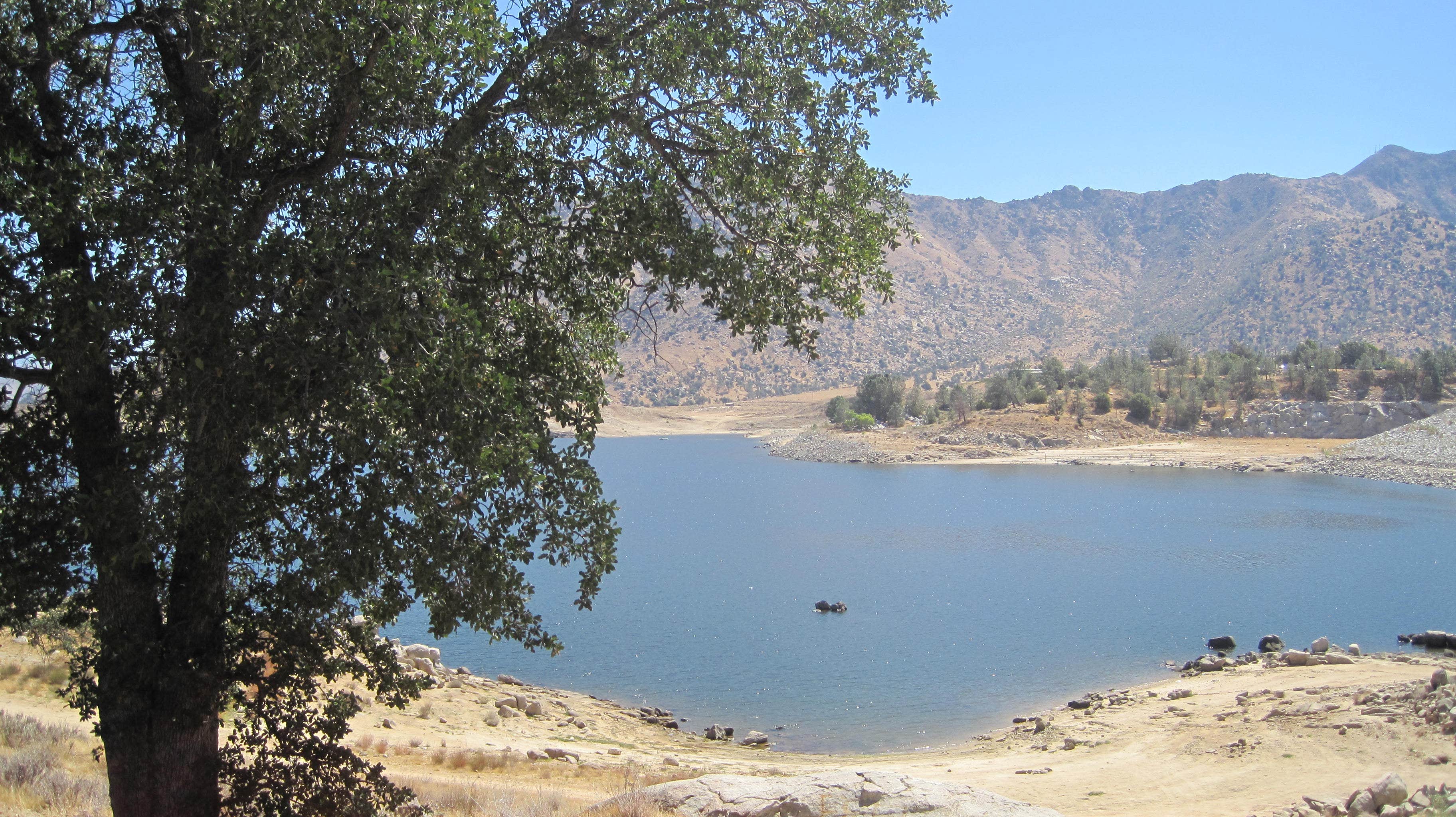Camper submitted image from Tillie Creek - 4