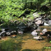 Review photo of Hawn State Park Campground by J K., August 6, 2019