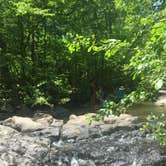 Review photo of Hawn State Park Campground by J K., August 6, 2019