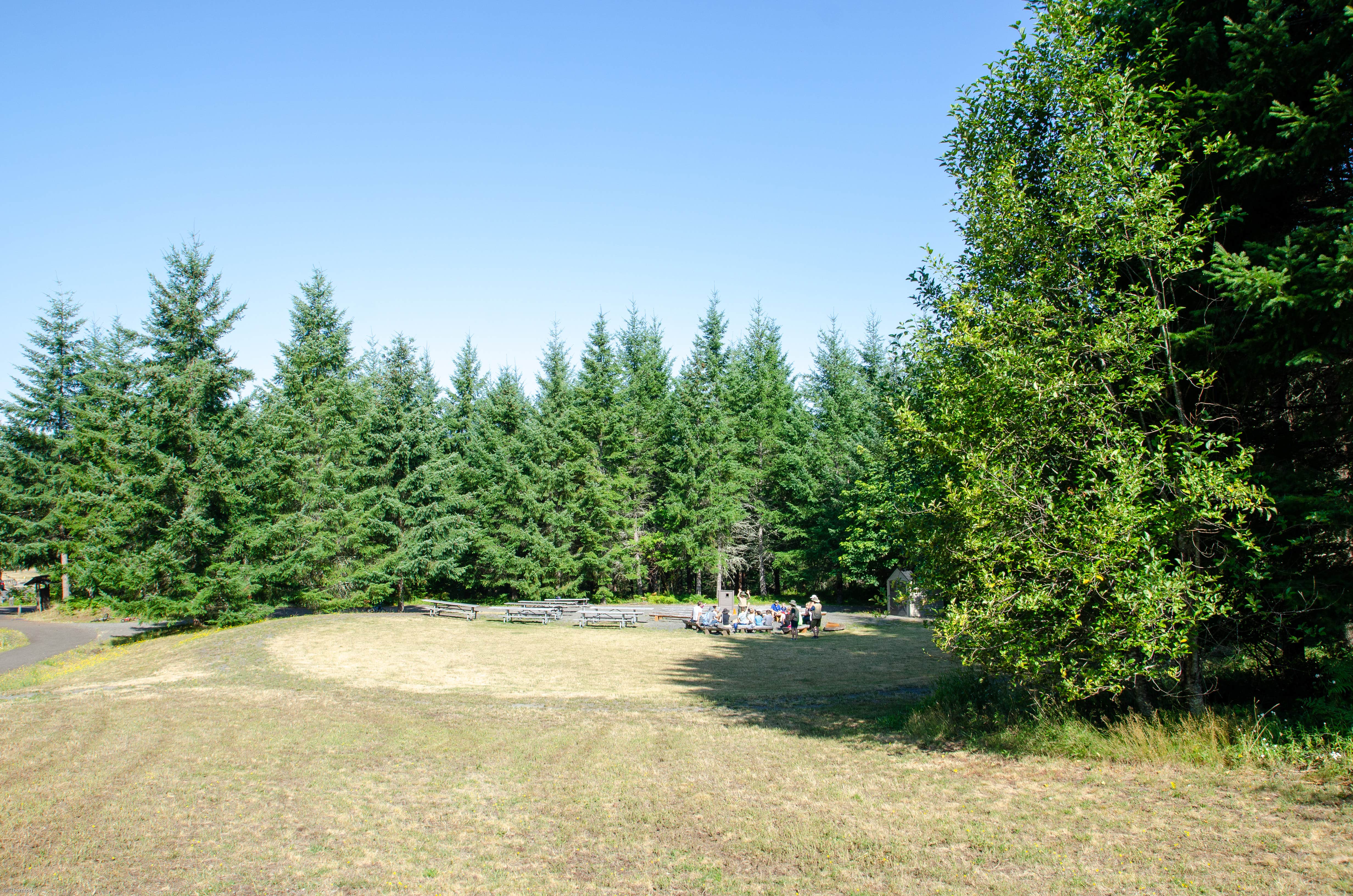 Camper-submitted photo at Dairy Creek West — L.L. Stub Stewart Memorial State Park near Hillsboro, OR