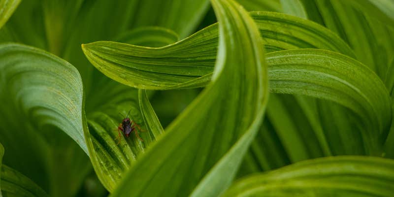 Camper submitted image from Fisher Camp — North Cascades National Park