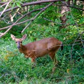 Review photo of L.L. Stub Stewart State Park Campground by Jill T., August 26, 2019