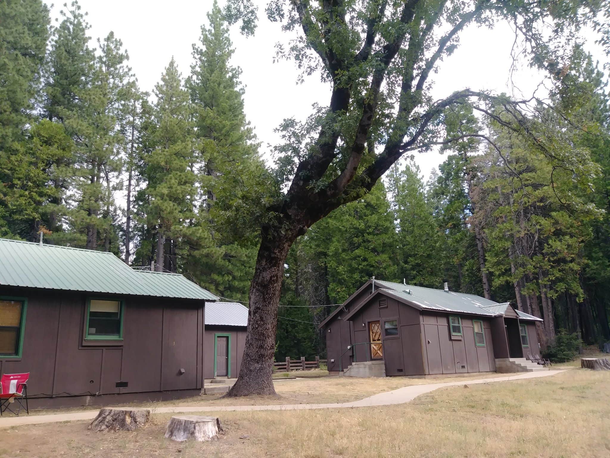 Tina B.'s photo of a cabin at North Grove Campground — Calaveras Big Trees State Park near Jamestown, CA