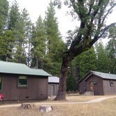 Review photo of North Grove Campground — Calaveras Big Trees State Park by Tina B., August 26, 2019