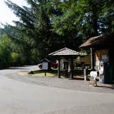 Review photo of Silver Falls State Park Campground by Jill T., August 26, 2019