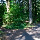 Review photo of Silver Falls State Park Campground by Jill T., August 26, 2019