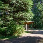 Review photo of Silver Falls State Park Campground by Jill T., August 26, 2019