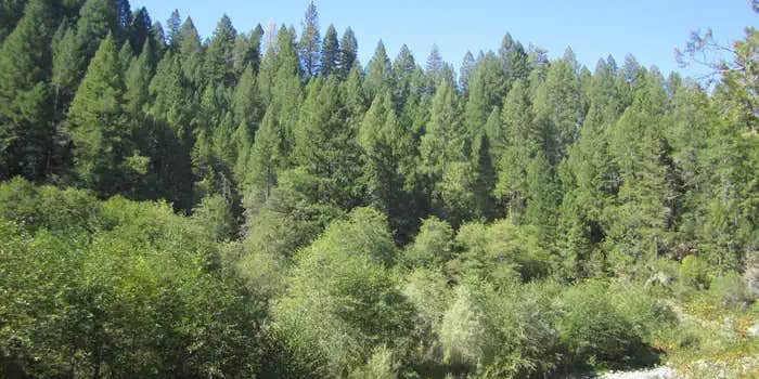 Camper submitted image from Indian Valley