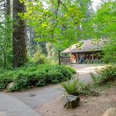 Review photo of Silver Falls State Park Campground by Jill T., August 26, 2019