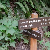 Review photo of Silver Falls State Park Campground by Jill T., August 26, 2019