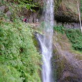 Review photo of Silver Falls State Park Campground by Jill T., August 26, 2019